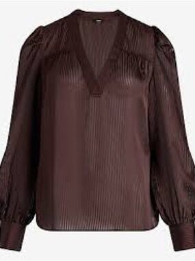 Express NWHT Satin V-Neck Long Sleeve Blouse - Brown